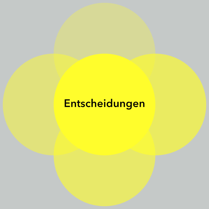 Modul Entscheidungen – Wandlungsstärke Programm
