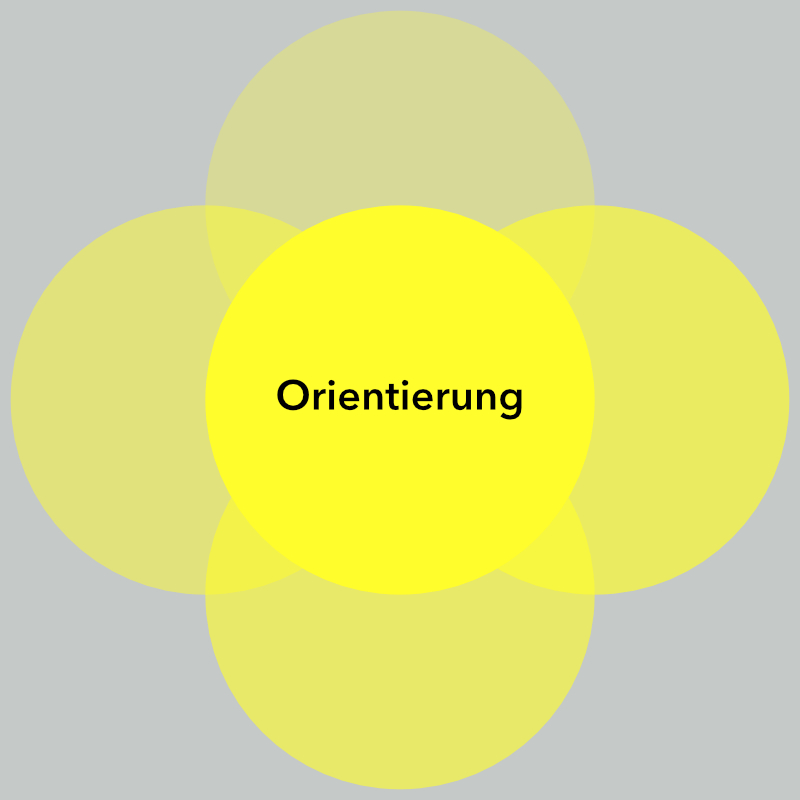 Modul Orientierung im Programm Wandlungsstärke