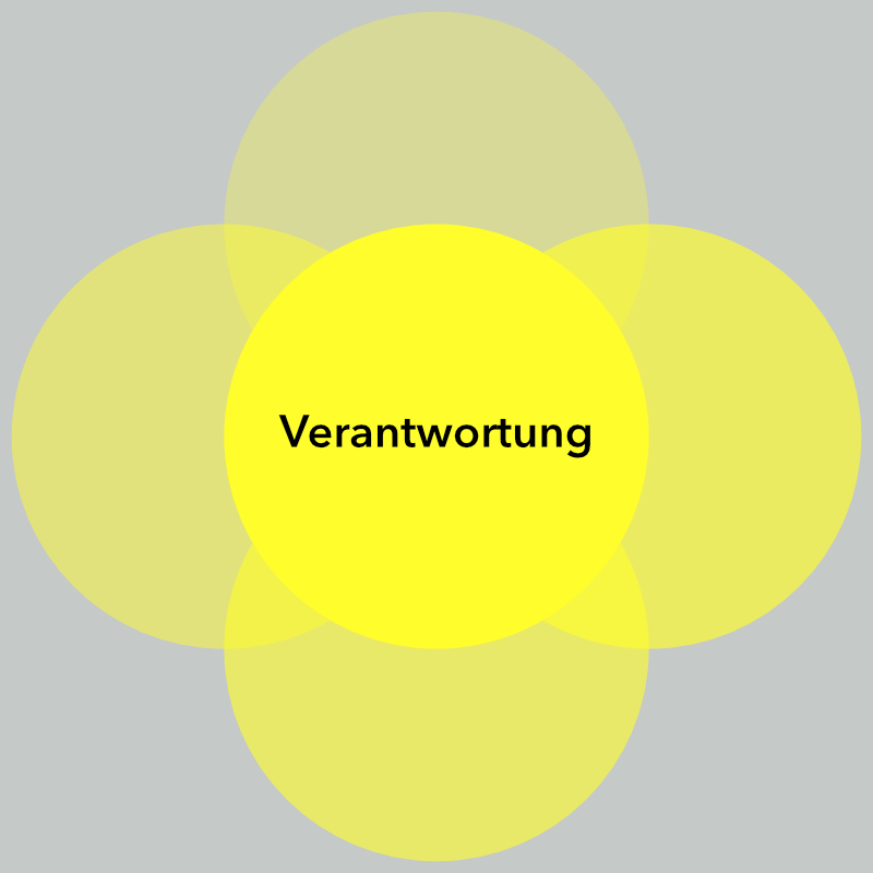 Modul Verantwortung im Programm Wandlungsstärke